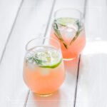 1-16-25 EMPRESS_Tropical Citrus symphony 1