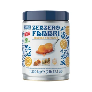 Fabbri 1905 Zenzero (Ginger) Vegan Gluten-Free Fruit and Syrup 1.25kg
