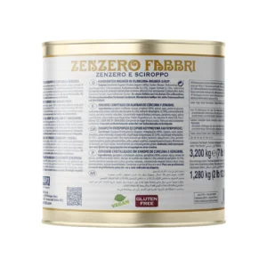 Fabbri 1905 Zenzero (Ginger) Vegan Gluten-Free Fruit and Syrup 3.2kg