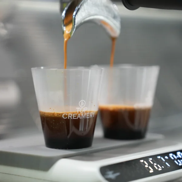 coffee+confectionery syrups-SOLUTIONS